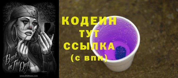 индика Корсаков