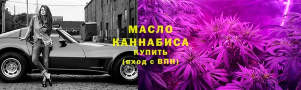 индика Ростов