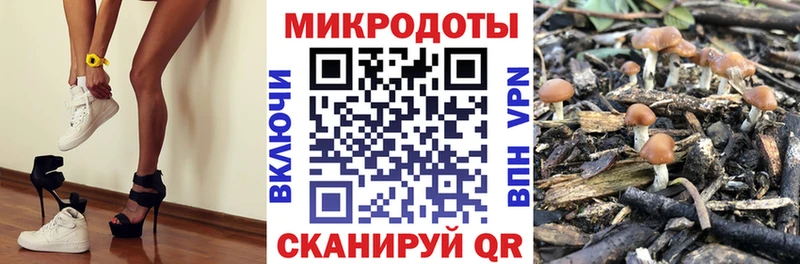 Галлюциногенные грибы GOLDEN TEACHER купить наркоту kraken ONION Ермолино